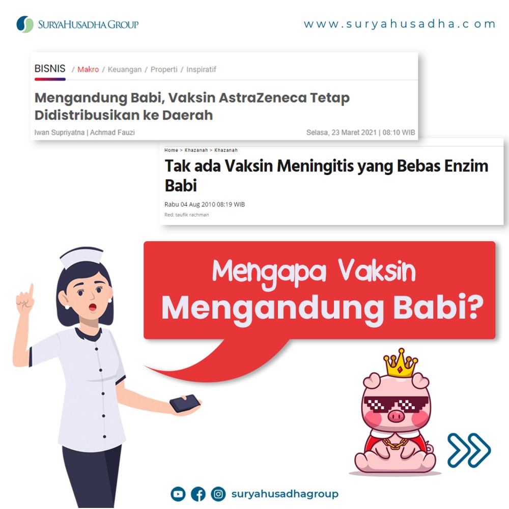 MENGAPA VAKSIN MENGANDUNG UNSUR BABI?