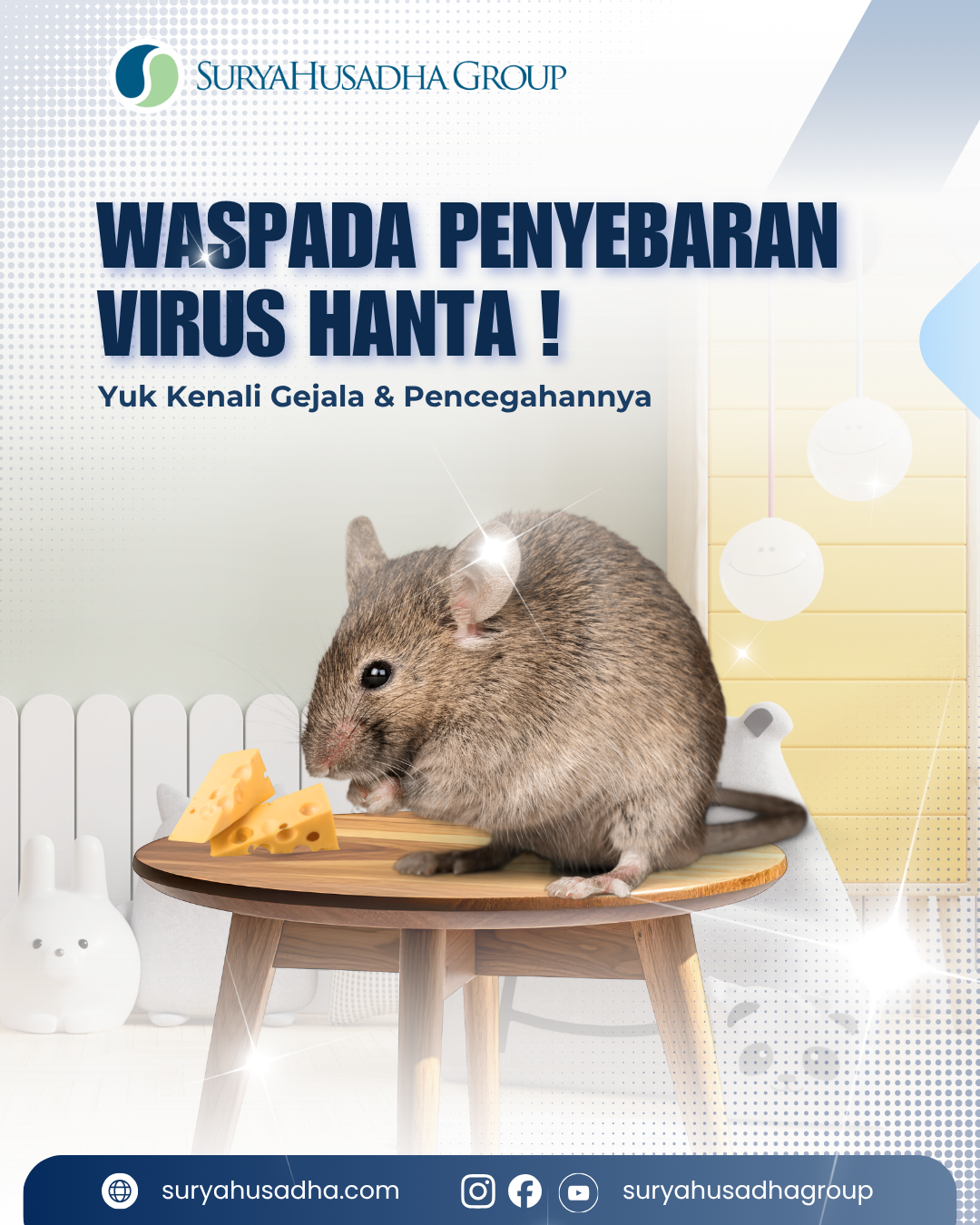 Waspada Hantavirus: Kenali Cara Penularan dan Langkah Pencegahannya